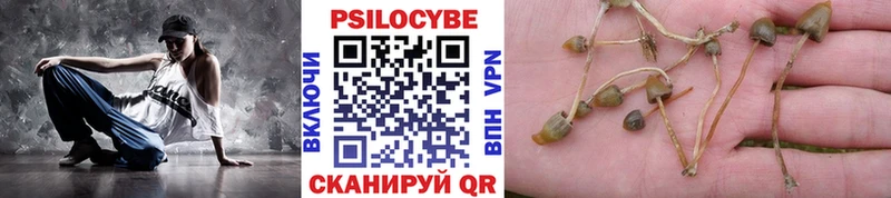 сколько стоит  Макарьев  Галлюциногенные грибы Psilocybine cubensis 
